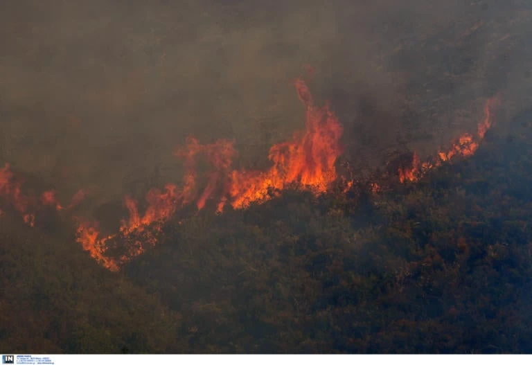 Φωτιές σε Εύβοια, Θήβα, Άρτα και Πωγώνι Ιωαννίνων – Υπό έλεγχο σε Σαμοθράκη και Αχαΐα